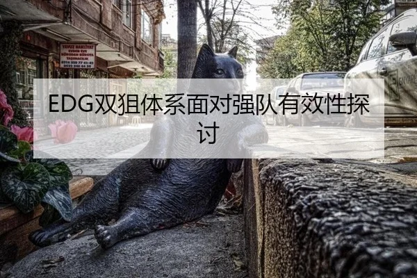 shuang-ju-ti-xi-mian-dui-qiang-dui-you-xiao-xing-tan-tao-2-505.jpg