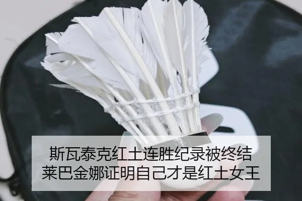 斯瓦泰克红土连胜纪录被终结 莱巴金娜证明自己才是红土女王