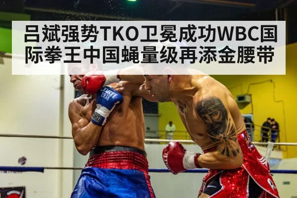 boxer knockout punch
