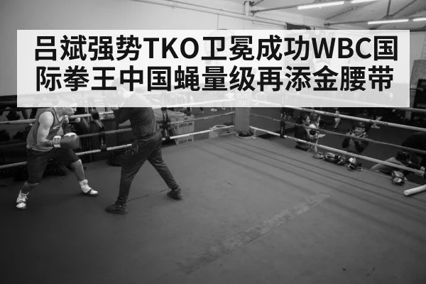 boxer training gym